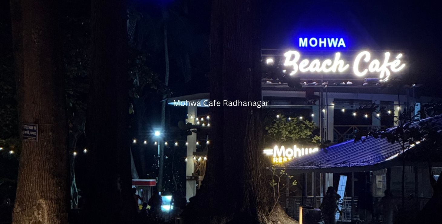 Ambience: Why It Helps You Recover Faster